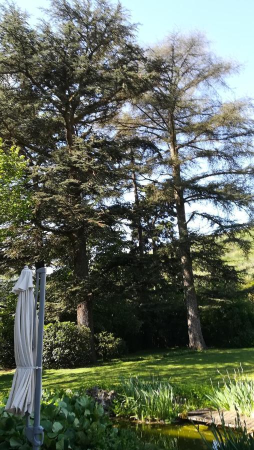 Bed and Breakfast Les Palmiers Mauves Exterior foto